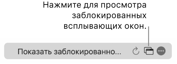 Поле смарт-поиска со значком просмотра заблокированных всплывающих окон.