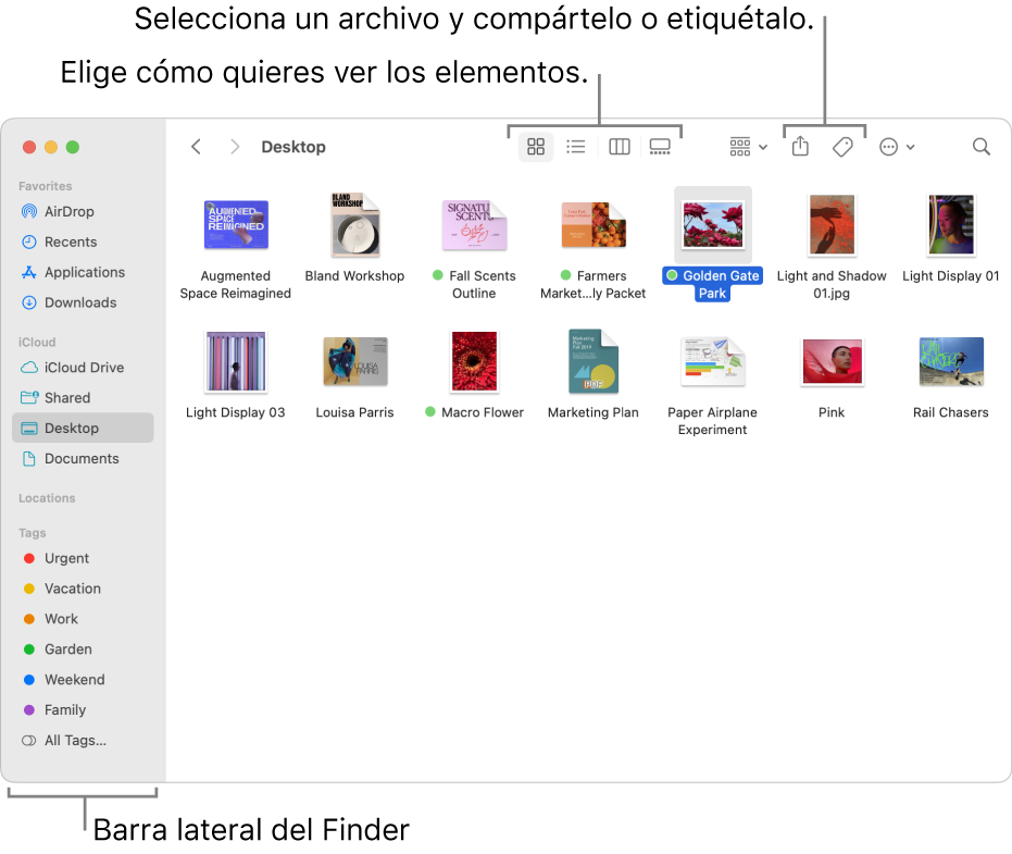 Una ventana del Finder con la barra lateral del Finder a la izquierda. En la parte superior de la ventana, hay cuatro botones que cambian la forma en que los elementos se muestran en la ventana, y botones adicionales para organizar y compartir los elementos.