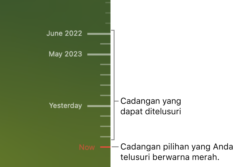 Tanda centang di garis waktu cadangan. Tanda centang merah menunjukkan cadangan yang Anda telusuri.