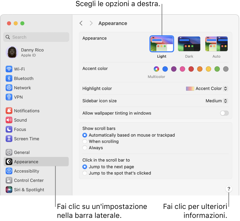 La finestra Impostazioni di Sistema, con le impostazioni Aspetto selezionate nella barra laterale e le opzioni Aspetto sulla destra.