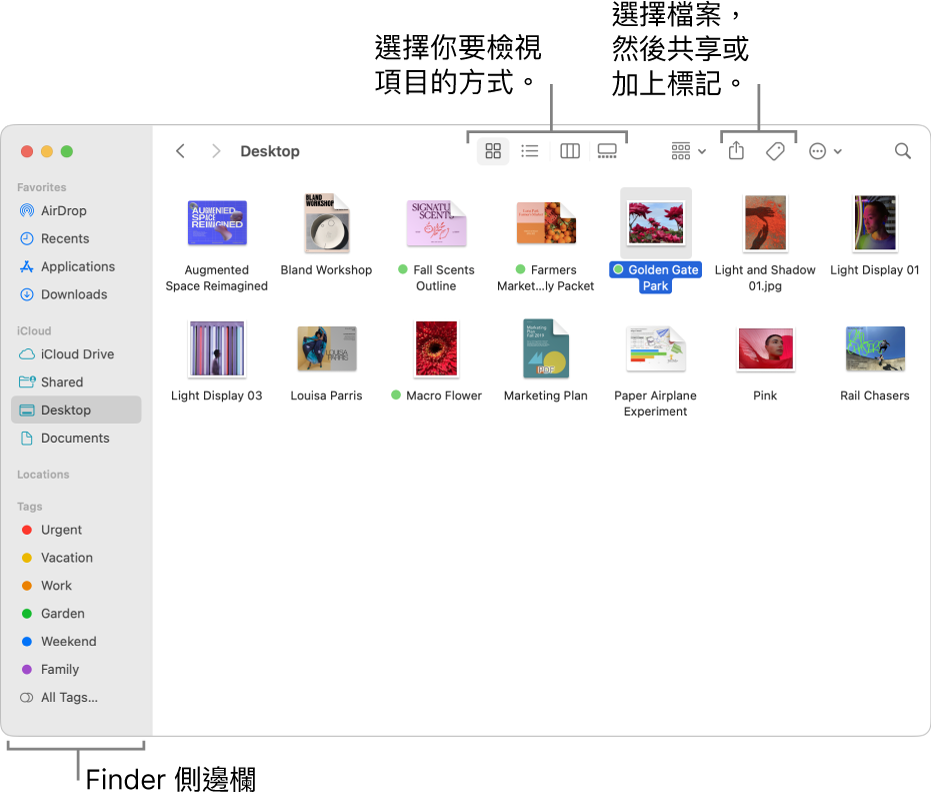 Finder 視窗，左側顯示 Finder 側邊欄。視窗最上方的四個按鈕用於更改項目在視窗中顯示的方式，其他按則用於整理和共享項目。