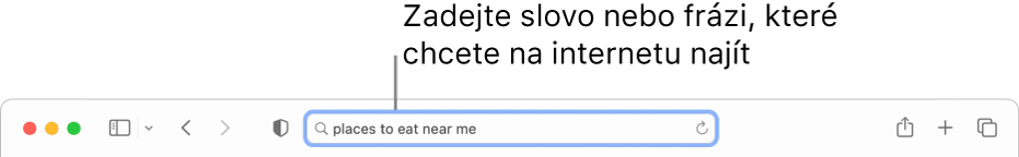 Dynamické vyhledávací pole v Safari, kam lze zadávat slova nebo fráze pro hledání na internetu