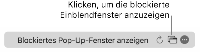 Das intelligente Suchfeld mit einem Symbol, um blockierte Pop-up-Fenster anzuzeigen.