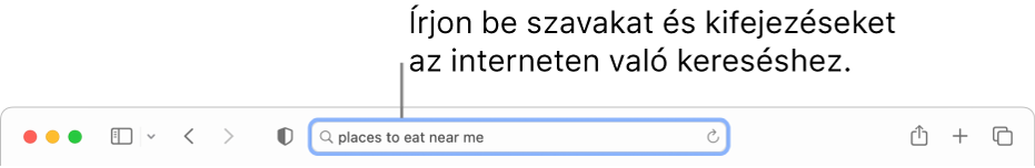 A Safari intelligens keresési mezője, ahol szavakat és kifejezéseket adhat meg, hogy rákeressen azokra az interneten.