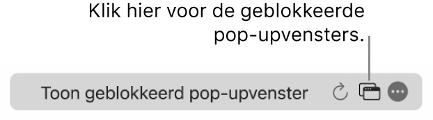 Het slimme zoekveld met een symbool om het aantal geblokkeerde pop-upvensters te tonen.