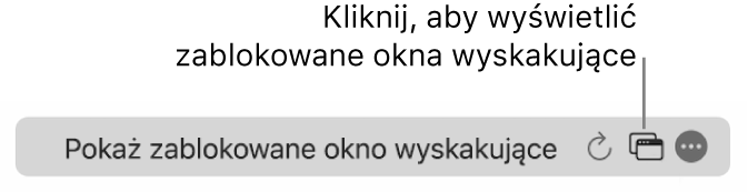 Inteligentne pole wyszukiwania z ikoną umożliwiającą wyświetlenie zablokowanych okien wyskakujących.