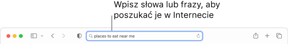 Inteligentne pole wyszukiwania w Safari. Możesz wprowadzać w nim wyrazy i frazy, których chcesz szukać w Internecie.