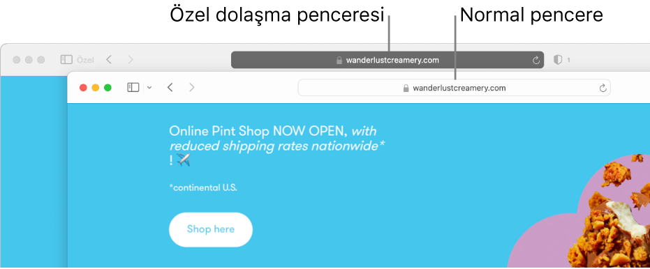 Koyu akıllı arama alanıyla özel bir Safari penceresi ve açık bir akıllı arama alanıyla normal bir Safari penceresi.