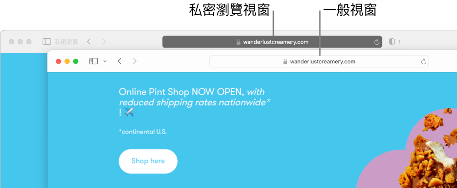 顯示深色「智慧型搜尋」欄位的私人 Safari 視窗和顯示淺色「智慧型搜尋」欄位的普通 Safari 視窗。