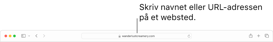 Det smarte søgefelt i Safari, hvor du kan skrive en sides navn eller URL-adresse.