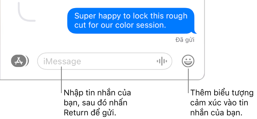 Một bản chép lại trong cửa sổ Tin nhắn, với trường tin nhắn đang hiển thị ở cuối cửa sổ.