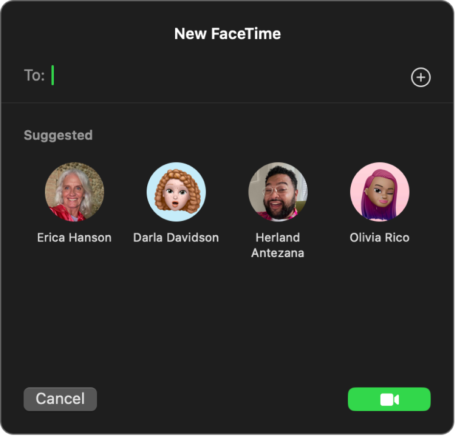 החלון ״שיחת FaceTime חדשה״ – הזן/י את המתקשרים ישירות בשדה ״אל״ או בחר/י אותם מתוך רשימת ההצעות לאנשים.