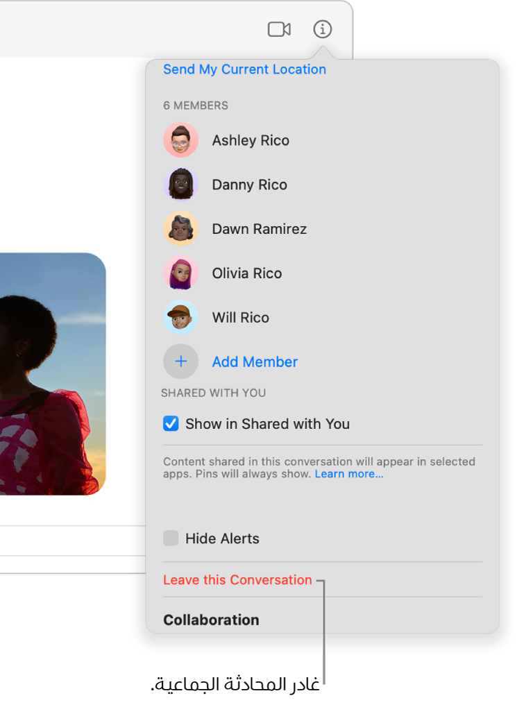 طريقة العرض معلومات، حيث تظهر بعد النقر على الزر معلومات في محادثة. ترك هذه المحادثة بالقرب من أسفل مربع الحوار.