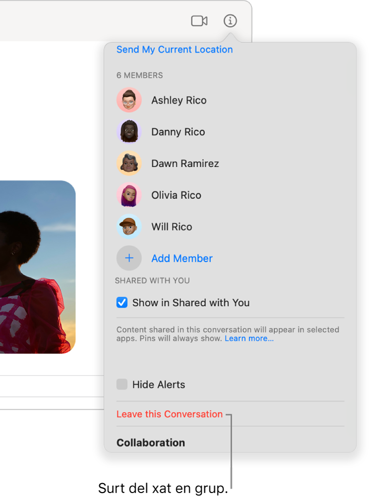 La vista d’informació, que apareix després de fer clic al botó d’informació en una conversa. L'opció “Deixar la conversa” està a prop de la part inferior del diàleg.