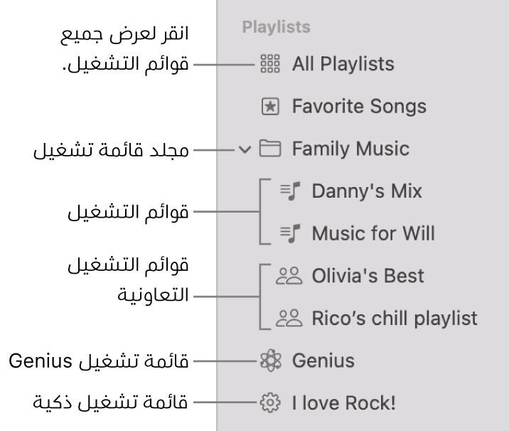 الشريط الجانبي للموسيقى أنواعًا مختلفة من قوائم التشغيل: قائمة تشغيل الأغاني المفضلة وقائمة تشغيل Genius وقائمة التشغيل الذكية وقائمة التشغيل. انقر على كل قوائم التشغيل لعرضها جميعًا.