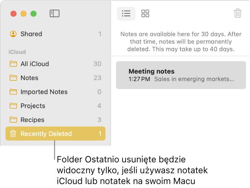 Okno aplikacji Notatki z folderem Ostatnio usunięte widocznym na pasku bocznym oraz ostatnio usuniętą notatką. Folder Ostatnio usunięte jest widoczny tylko wtedy, gdy używasz notatek iCloud lub notatek przechowywanych na Macu.