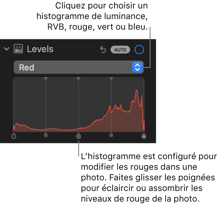 Les commandes Niveaux dans la sous-fenêtre Ajuster, montrant l’histogramme Rouge au-dessus de poignées, permettant d’ajuster les niveaux de rouge de la photo.