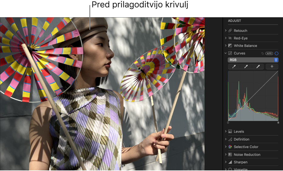 Fotografija pred prilagoditvami s funkcijo Krivulje.