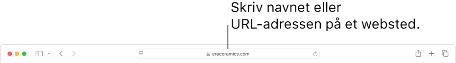 Det smarte søgefelt i Safari, hvor du kan skrive et websteds navn eller URL-adresse.