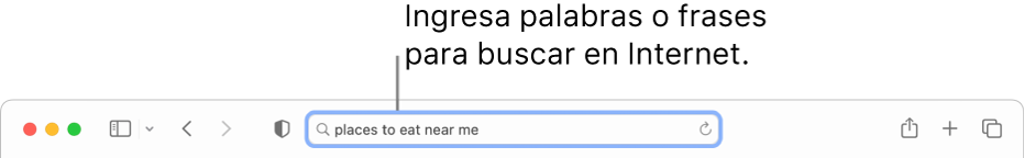 El campo de búsqueda inteligente de Safari, en donde puedes ingresar palabras y frases para buscarlas en Interne.