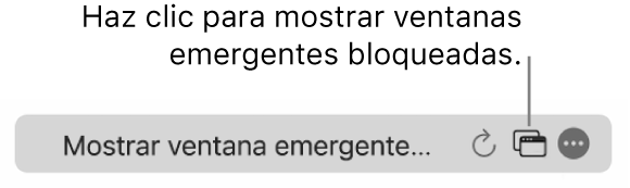 El campo de búsqueda inteligente con un ícono para mostrar las ventanas emergentes bloqueadas.