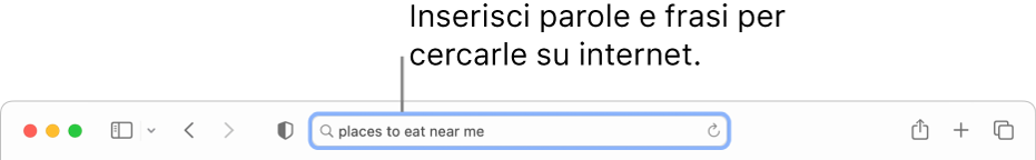 Il campo di ricerca smart di Safari, in cui puoi inserire parole o frasi da cercare su internet.