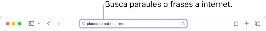 El camp de cerca intel·ligent del Safari, on pots introduir les paraules i frases que vols buscar a internet.