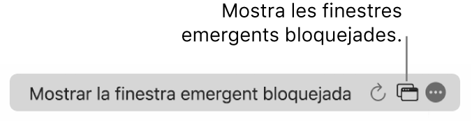 El camp de cerca intel·ligent amb un botó per mostrar les finestres emergents bloquejades.