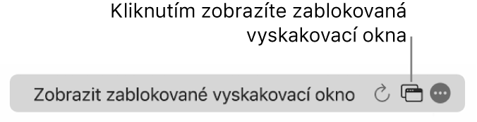 Dynamické vyhledávací pole s tlačítkem pro zobrazení zablokovaných vyskakovacích oken.