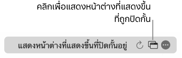 ช่องค้นหาอัจฉริยะที่มีปุ่มเพื่อแสดงหน้าต่างที่แสดงขึ้นที่ถูกปิดกั้น