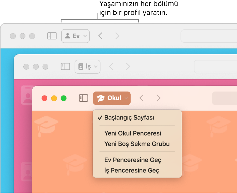 Üç Safari profili penceresi: biri ev, biri iş ve biri de okul için.