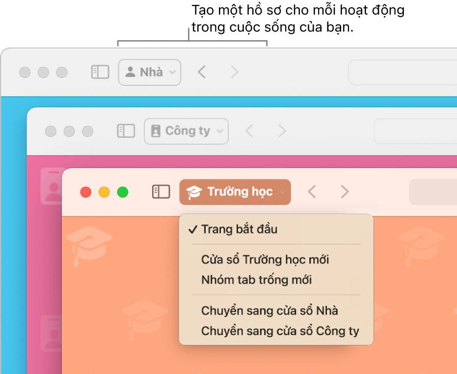 Ba cửa sổ hồ sơ Safari: một cho nhà riêng, một cho công ty và một cho trường học.
