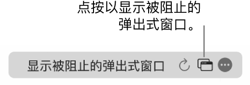 智能搜索栏包含显示被阻止的弹出式窗口的按钮。