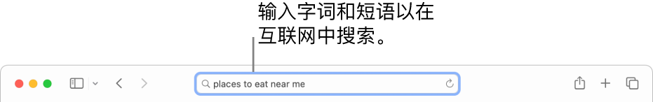 Safari 浏览器智能搜索栏，可在此输入字词和短语以在互联网上搜索。