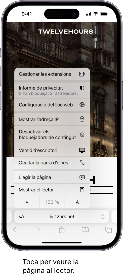 El menú “Configuració de la pàgina”. A la part inferior del menú hi ha l’opció “Mostrar el lector”.