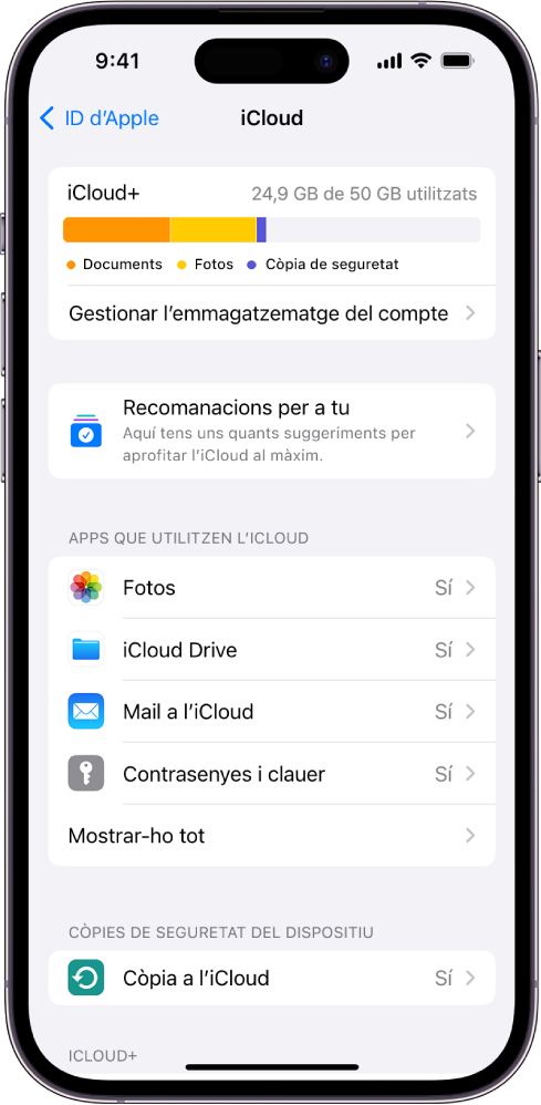 Pantalla de configuració de l’iCloud amb l’indicador d’emmagatzematge a l’iCloud i una llista d’apps i funcions que es poden utilitzar amb l’iCloud.