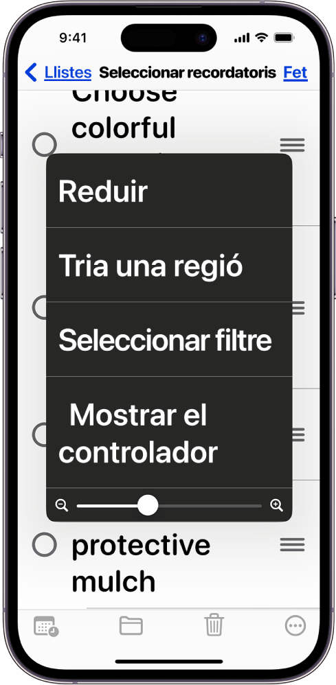 Un iPhone que mostra el menú “Zoom”.