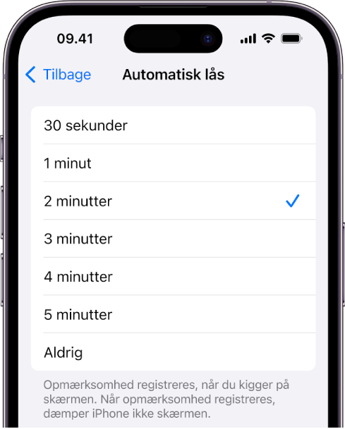 Skærmen Automatisk lås med indstillinger til, hvor lang tid der skal gå, før iPhone automatisk låses.