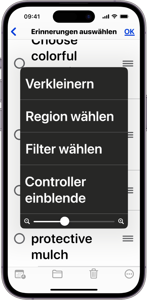 Ein iPhone mit dem Menü „Zoom“.