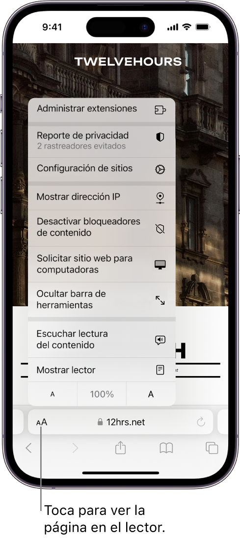 El menú Configuración de la página. En la parte inferior del menú está la opción Mostrar lector.