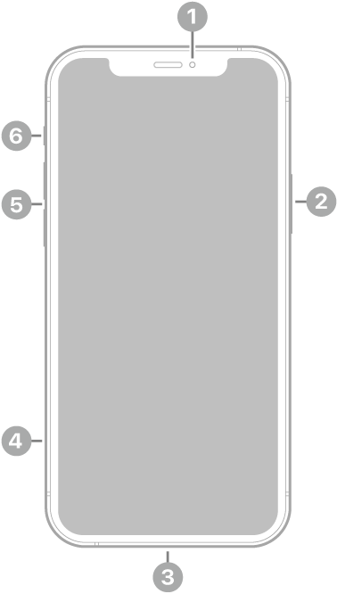 El frente del iPhone 12. La cámara frontal está en la parte superior central. El botón lateral está en el lateral derecho. El conector Lightning está en la parte inferior. En el lateral izquierdo, de abajo a arriba, se encuentran la bandeja de la tarjeta SIM, los botones de volumen y el interruptor de Tono/Silencio.