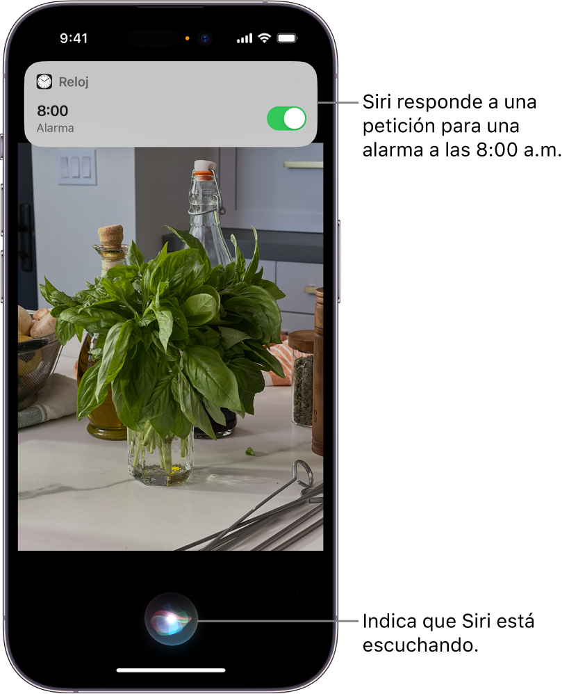 La pantalla de un iPhone. Cerca de la parte superior de la pantalla hay una notificación de la app Reloj que indica que hay una alarma activada para las 8:00 a.m. En la parte inferior, hay un ícono que indica que Siri está escuchando.