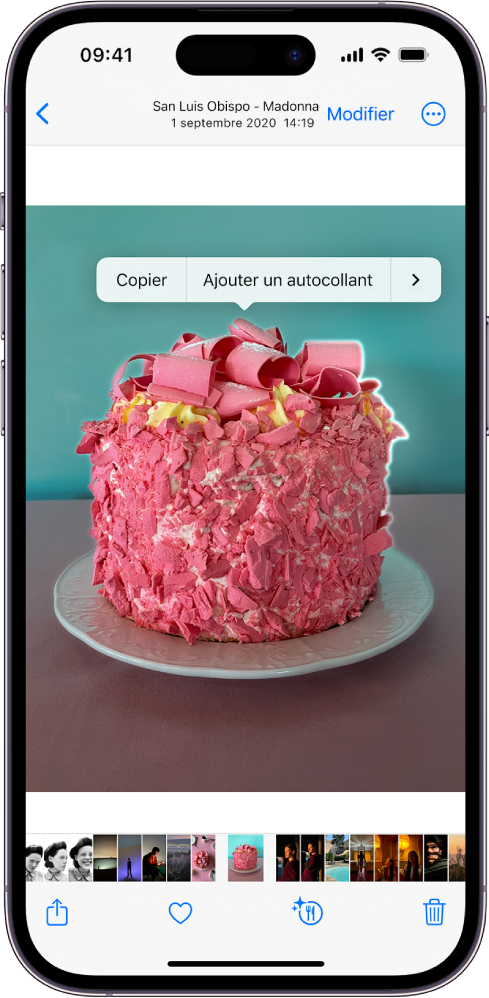 Une photo est ouverte dans la photothèque de l’app Photos. Le contour du sujet au centre de la photo est affiché et les boutons Copier, Recherche visuelle, Ajouter un autocollant et Partager s’affichent au-dessus.