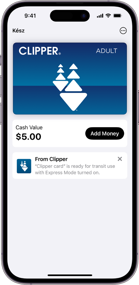 Tömegközlekedési kártya a Tárca képernyőjén. A kártya alatt található az egyenleg a Pénz hozzáadása gomb mellett.