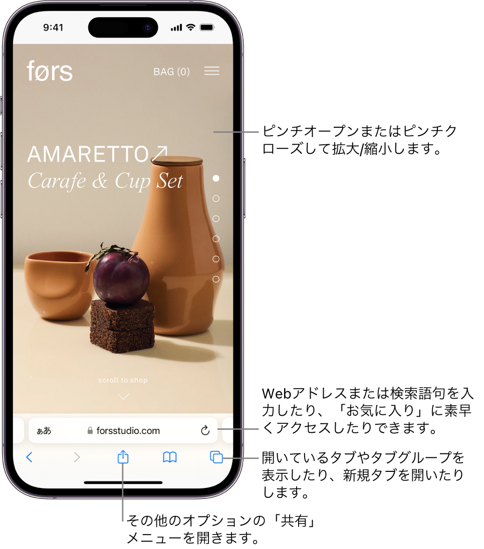 Safariで開いたWebサイト。下部にアドレスフィールドが表示されています。下部には左から順に、「戻る」、「進む」、「共有」、「ブックマーク」、および「タブ」の各ボタンがあります。