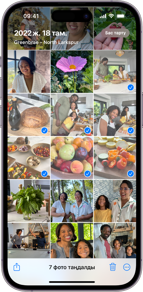 iPhone экраны фотолар торымын толған, олардың жетеуі таңдалған. Экранның төменгі жағындағылар — «Бөлісу», «Жою» және «Толығырақ» түймелері.