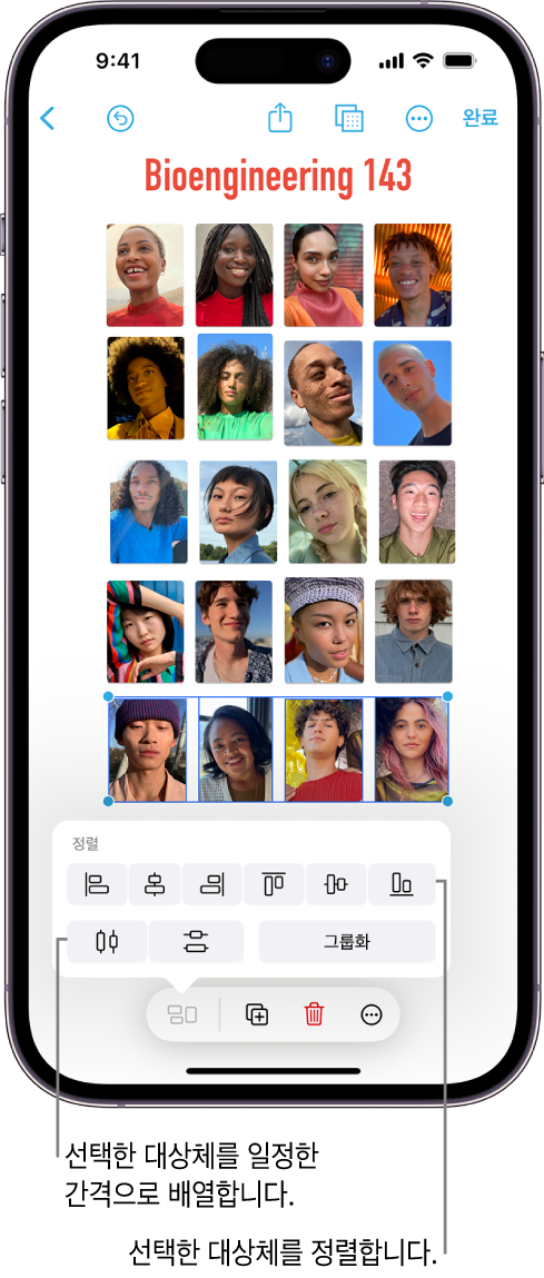 격자 형태로 사진이 채워져 있는 Freeform 보드. 여러 사진이 선택되어 있고, 그 위에 정렬 및 그룹 도구가 나타나 있음.
