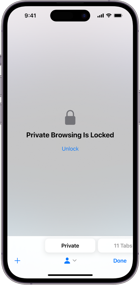 „Safari“ atidaryta atlikti „Private Browsing“. Ekrano centre yra užrašas „Private Browsing Is Locked“ (privatus naršymas užrakintas). Po juo yra mygtukas „Unlock“.