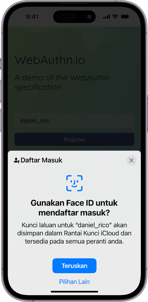 Skrin daftar masuk yang kelihatan apabila kunci laluan disimpan untuk akaun. Butang Teruskan dan Pilihan Lain berada di bahagian bawah skrin.