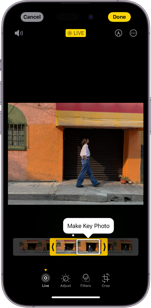 အလယ်တွင် Live Photo ပါရှိသော Live Photo စာမျက်နှာတစ်ခု။ ဓာတ်ပုံအောက်တွင် Make Key Photo ခလုတ်အရှင်နှင့် ဘောင်အမျိုးအစားများ ကြည့်နိုင်သည်။ ဘောင်အမျိုးအစားပြအကွက်၏ဘေးတစ်ဖက်တစ်ချက်တွင် Live Photo ကိုဖြတ်တောက်ခွင့်ပေးသော မြားနှစ်စင်းရှိသည်။ ဖန်သားပြင်အောက်ခြေတွင် Live၊ Adjust၊ Filters နှင့် Crop ခလုတ်များရှိသည်။ Live ခလုတ်ကို ရွေးချယ်ထားသည်။ Cancel ခလုတ်သည် ဖန်သားပြင်၏ဘယ်ဘက်ထိပ်ထောင့်တွင်ပေါ်နေပြီး Done ခလုတ်သည် ညာဘက်ထိပ်ထောင့်တွင်ရှိသည်။ ဖန်သားပြင်၏ထိပ်တွင်လည်း ဘယ်မှညာသို့ Mute၊ Live၊ Markup နှင့် Plug-ins ခလုတ်များရှိသည်။